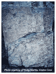 Click on Photo for a Larger Version of the Cabot Rock