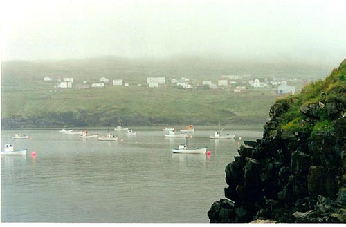 Grates Cove Fishing Boats