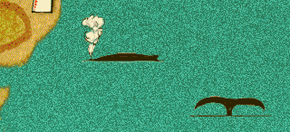 Humpback Whale Photos