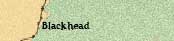 Learn About the Historic Village of Blackhead